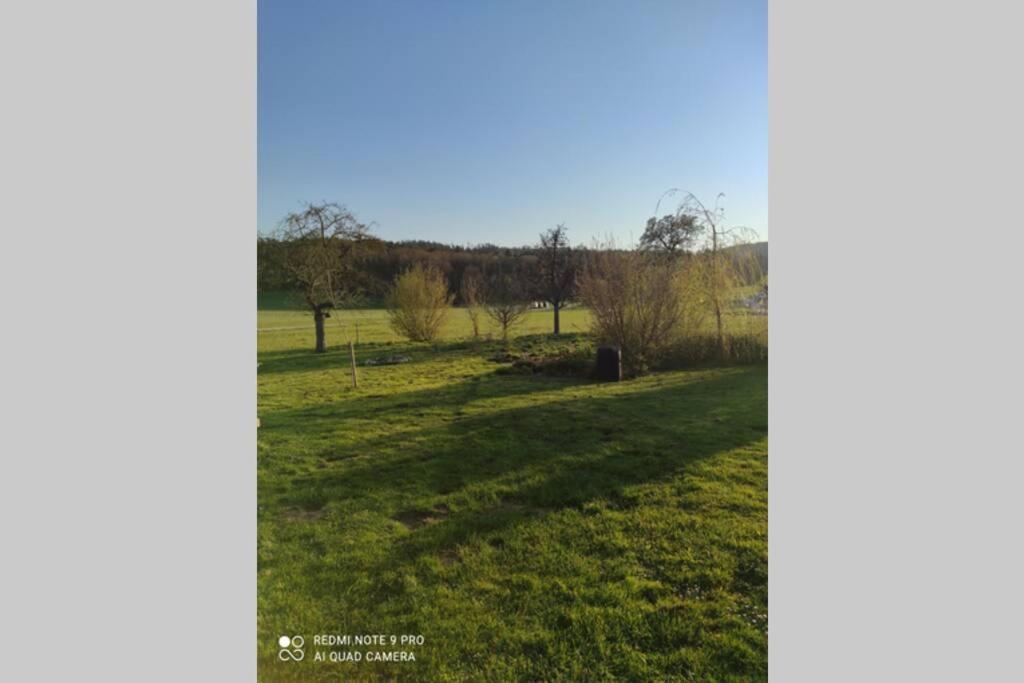 Schoene Helle Ferienwohnung In Waldnaehe Berching Bagian luar foto