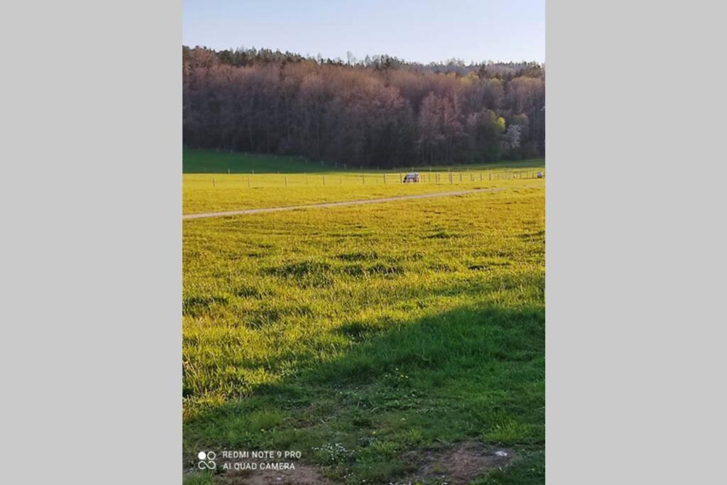 Schoene Helle Ferienwohnung In Waldnaehe Berching Bagian luar foto